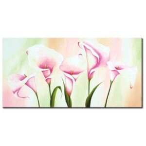 Canvas Print Calla: Light pink callas