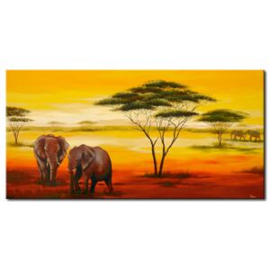 Canvas Print African: Elephants in the afternonn