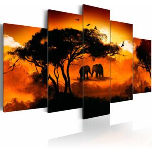 Canvas Print Animals: African love