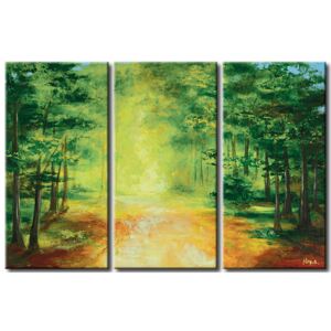Canvas Print Forest: A way through the forest