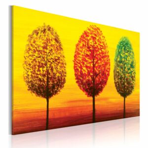 Canvas Print Trees: Four seasons tree