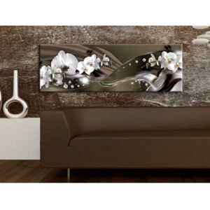 Canvas Print Orchids: Chocolate Dance of Orchid