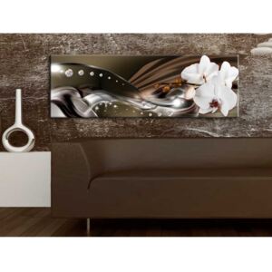 Canvas Print Orchids: Orchid Trail