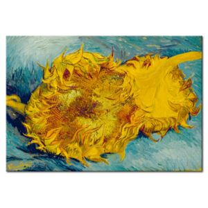 Canvas Print Vincent van Gogh: Two sunflowers