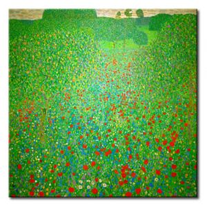 Canvas Print Gustav Klimt: Mohnwiese