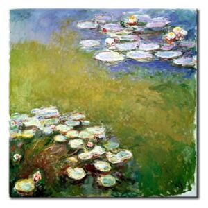 Canvas Print Claude Monet: Water Lilies