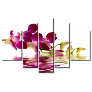 Canvas Print Orchids: Violet Orchid