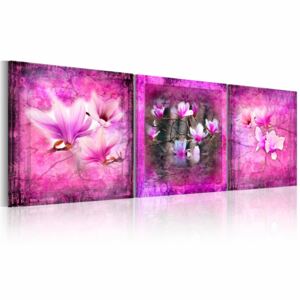 Canvas Print Magnolias: Pink magnolia flowers