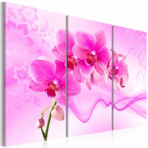 Canvas Print Orchids: Ethereal orchid - pink