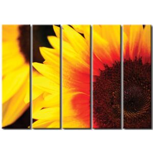 Canvas Print Sunflowers: Joyful sunflowers