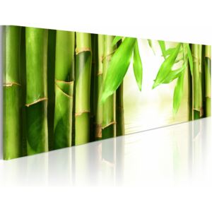 Canvas Print Zen: Bamboo gate