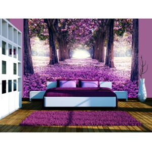 Wall mural Forest and Trees: Flower road
