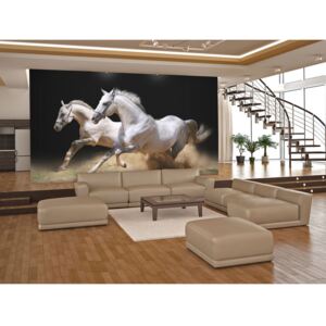 Wall mural Horses: Galloping horses on the sand