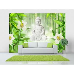 Wall mural Orient: Buddha and nature
