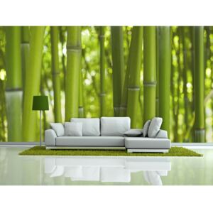 Wall mural Orient: Bamboo - green