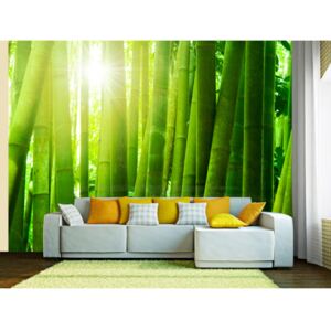 Wall mural Orient: Sun and bamboo