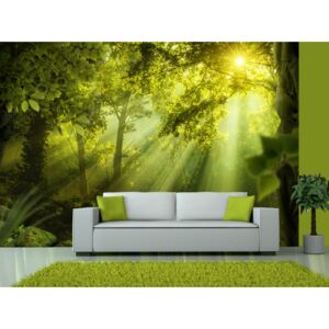 Self-Adhesive Wall Mural Forest and Trees: In a Secret Forest