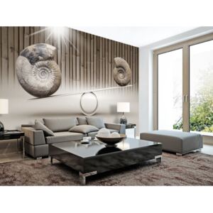 Wall mural Modern: Fun with Fossils