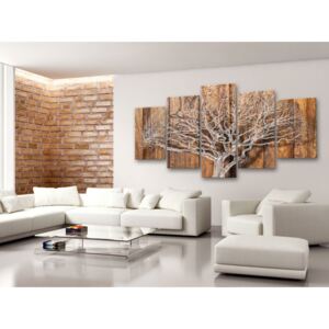 Canvas Print Trees: Chronicle of Tree