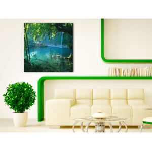 Canvas Print Forest: Waterfall in the paradise