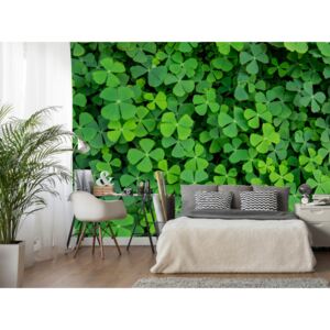 Wall mural Other Flowers: Green Clover
