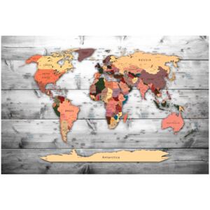 Corkboard Map Decorative Pinboards: Direction World [Cork Map]