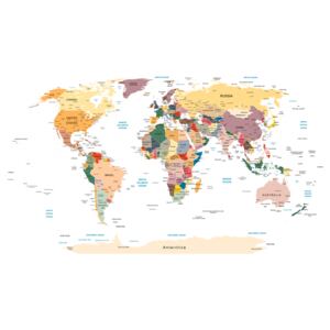 Corkboard Map Decorative Pinboards: World Map [Cork Map]