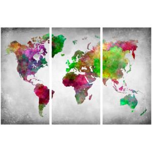 Corkboard Map Decorative Pinboards: Diversity of World [Cork Map]