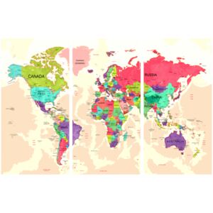 Corkboard Map Decorative Pinboards: Geography of Colours [Cork Map]