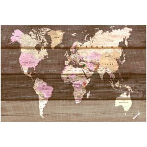 Corkboard Map Decorative Pinboards: Wooden World [Cork Map]
