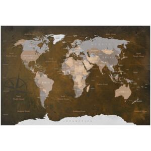 Corkboard Map Decorative Pinboards: Cinnamon Travels [Cork Map]