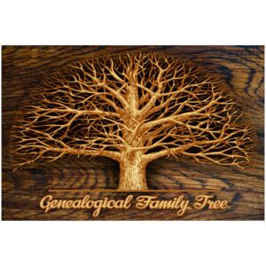 Corkboard Map Decorative Pinboards: Family Tree [Corkboard]