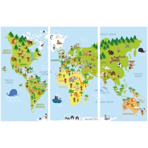 Corkboard Map Decorative Pinboards: Children's World [Cork Map]