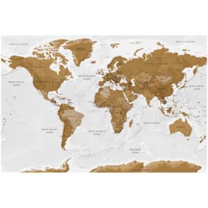 Corkboard Map Decorative Pinboards: White Poetry [Cork Map]