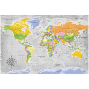 Corkboard Map Decorative Pinboards: World Map: Wind Rose [Cork Map]