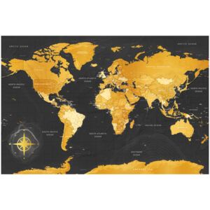 Corkboard Map Decorative Pinboards: Golden World [Cork Map]