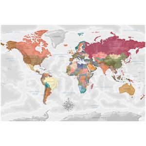 Corkboard Map Decorative Pinboards: Travel Around the World [Cork Map]