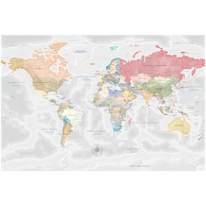 Corkboard Map Decorative Pinboards: World Map: Dream Travel [Cork Map]