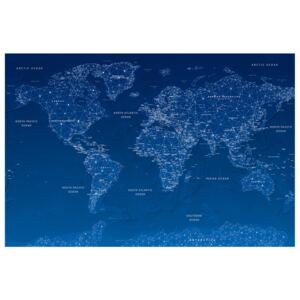 Corkboard Map Decorative Pinboards: World Map: World Connection [Cork Map]