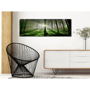 Canvas Print Forest: Emerald Forest