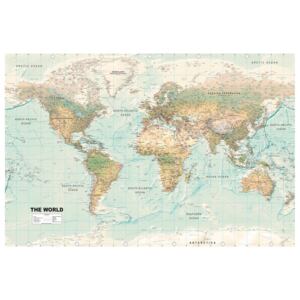 Corkboard Map Decorative Pinboards: World Map: Beautiful World [Cork Map]
