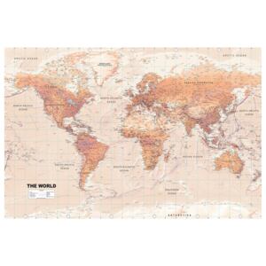 Corkboard Map Decorative Pinboards: World Map: Orange World [Cork Map]