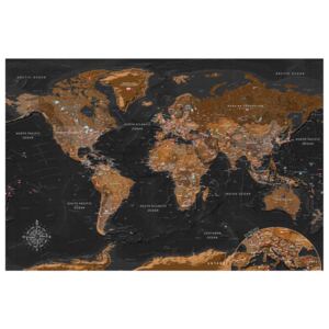 Corkboard Map Decorative Pinboards: Stylish Map [Cork Map]