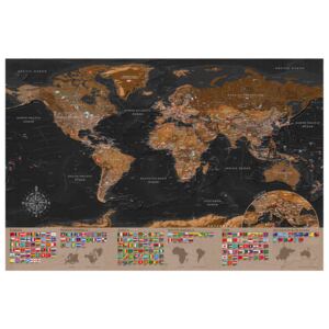 Corkboard Map Decorative Pinboards: World: Brown Map [Cork Map]