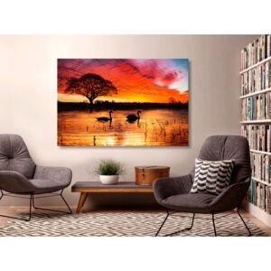 Canvas Print Sunrises and Sunsets: Swan Lake