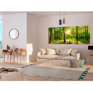 Canvas Print Forest: Magic Forest