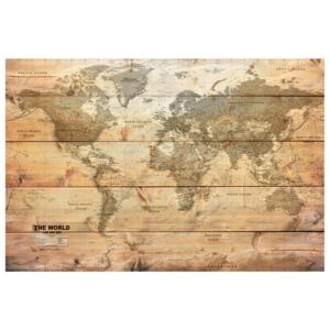 Corkboard Map Decorative Pinboards: World Map: Boards [Cork Map]