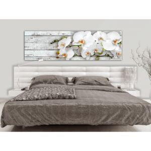 Canvas Print Orchids: Orchids and Boards