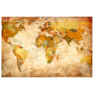 Corkboard Map Decorative Pinboards: World Map: Time Travel [Cork Map]