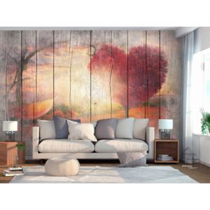 Wall mural Forest and Trees: Autumnal Love